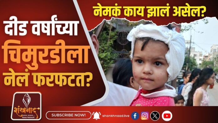 दीड वर्षांच्या चिमुरडीला नेलं फरफटत नेमकं काय झालं असेल