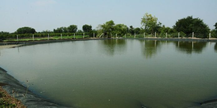 Shetale-Yojana-A-big-announcement-by-the-state-government__1_1_1_H@@IGHT_375_W@@IDTH_750