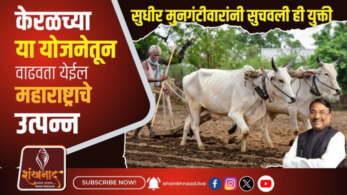 केरळच्या या योजनेतून वाढवता येईल महाराष्ट्राचे उत्पन्न -land-lokeralasttery-will-increase-maharashtras-production