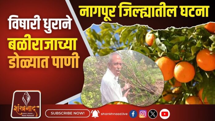 विषारी धुराने बळीराजाच्या डोळ्यात पाणी...नागपूर जिल्ह्यातील घटना