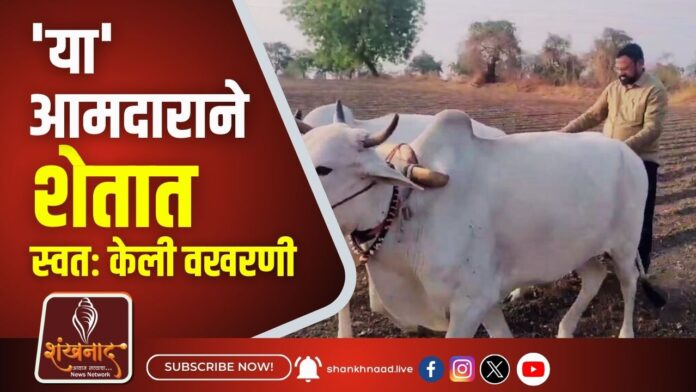 'या' आमदाराने शेतात स्वतः केली वखरणी