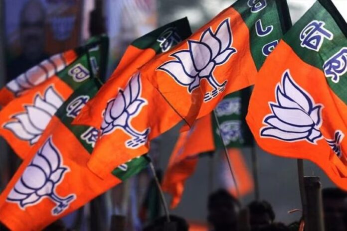 चंद्रपूर जिल्हा भाजप ग्रामीण मंडळ अध्यक्षांची यादी जाहीर