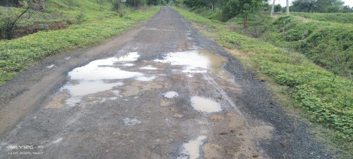 सर्वसामान्यांना जीव मुठीत धरून करावा लागतो प्रवास:वाढा फॉर्म भागातील रस्त्यांची दुरावस्था