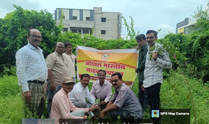 अखिल भारतीय ग्राहक पंचायत द्वारे मंगरूळपीर येथे वृक्षारोपण